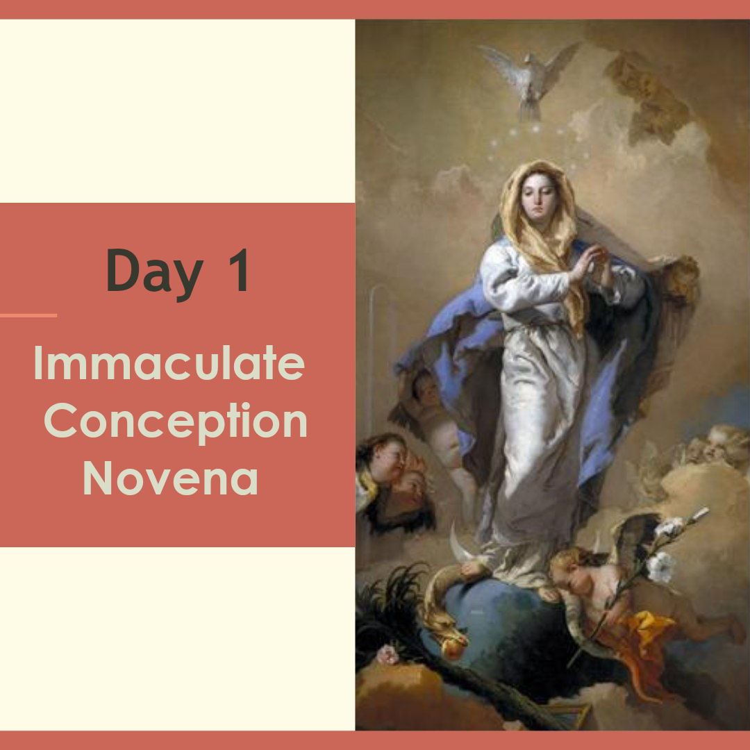 Immaculate Conception Novena - Day 1 - Mary Queen of the Third Millennium