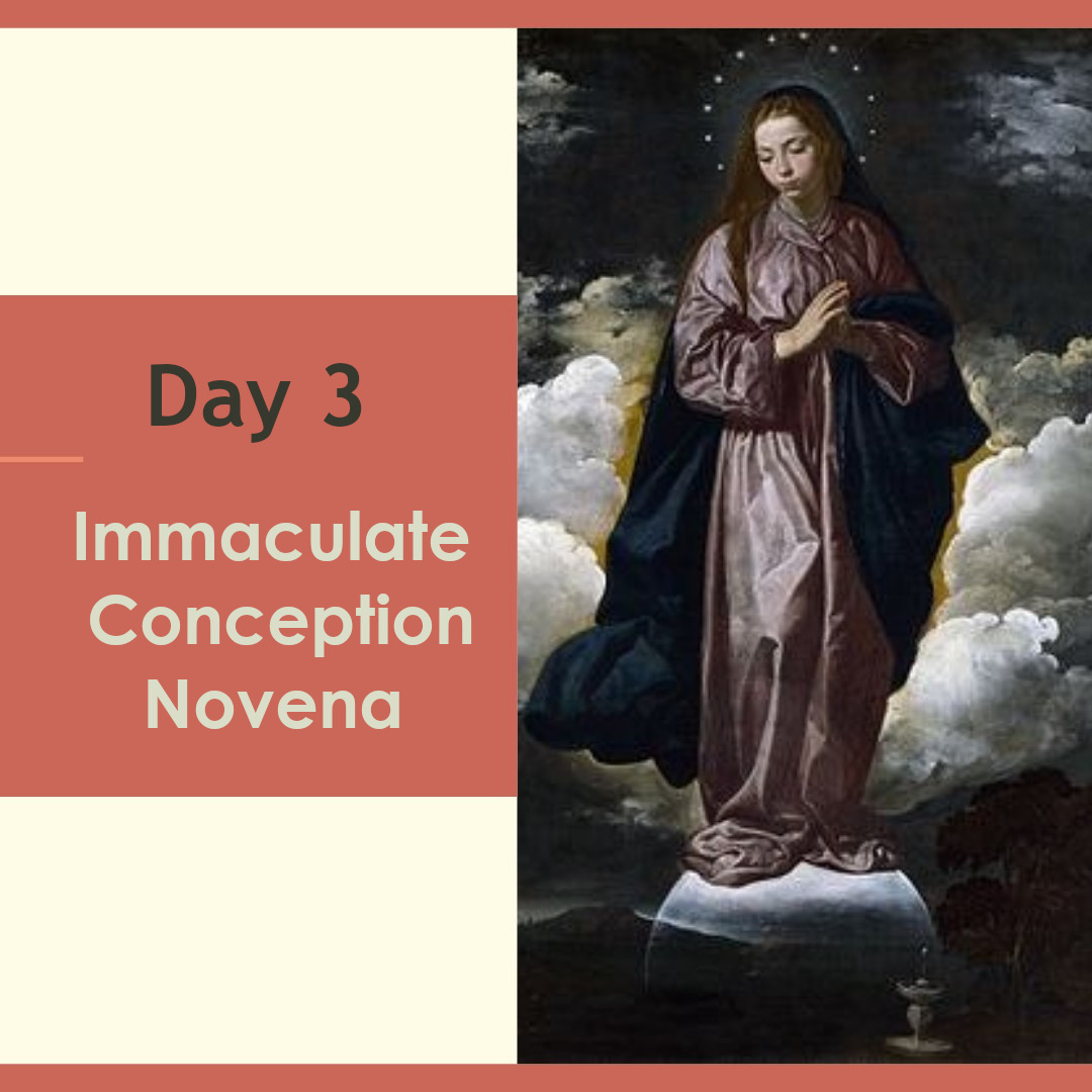 Immaculate Conception Novena – Day 3 – Mary Queen of the Third Millennium